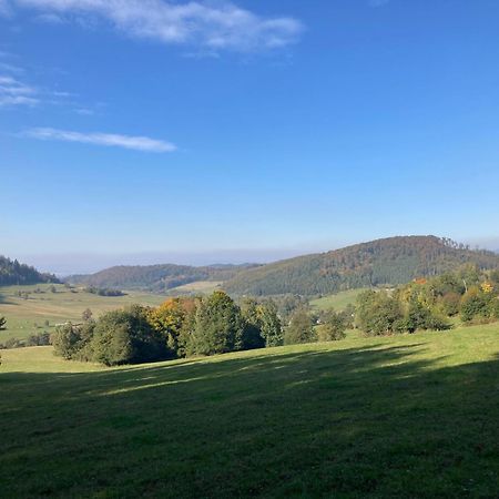 Na Piotrowickiej Przeleczy Villa Bystrzyca Klodzka Bagian luar foto