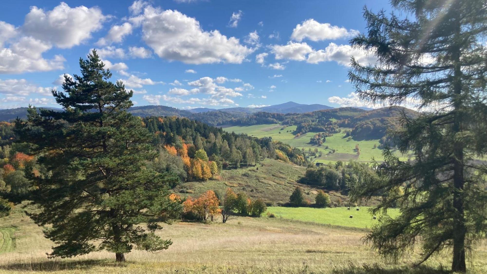 Na Piotrowickiej Przeleczy Villa Bystrzyca Klodzka Bagian luar foto