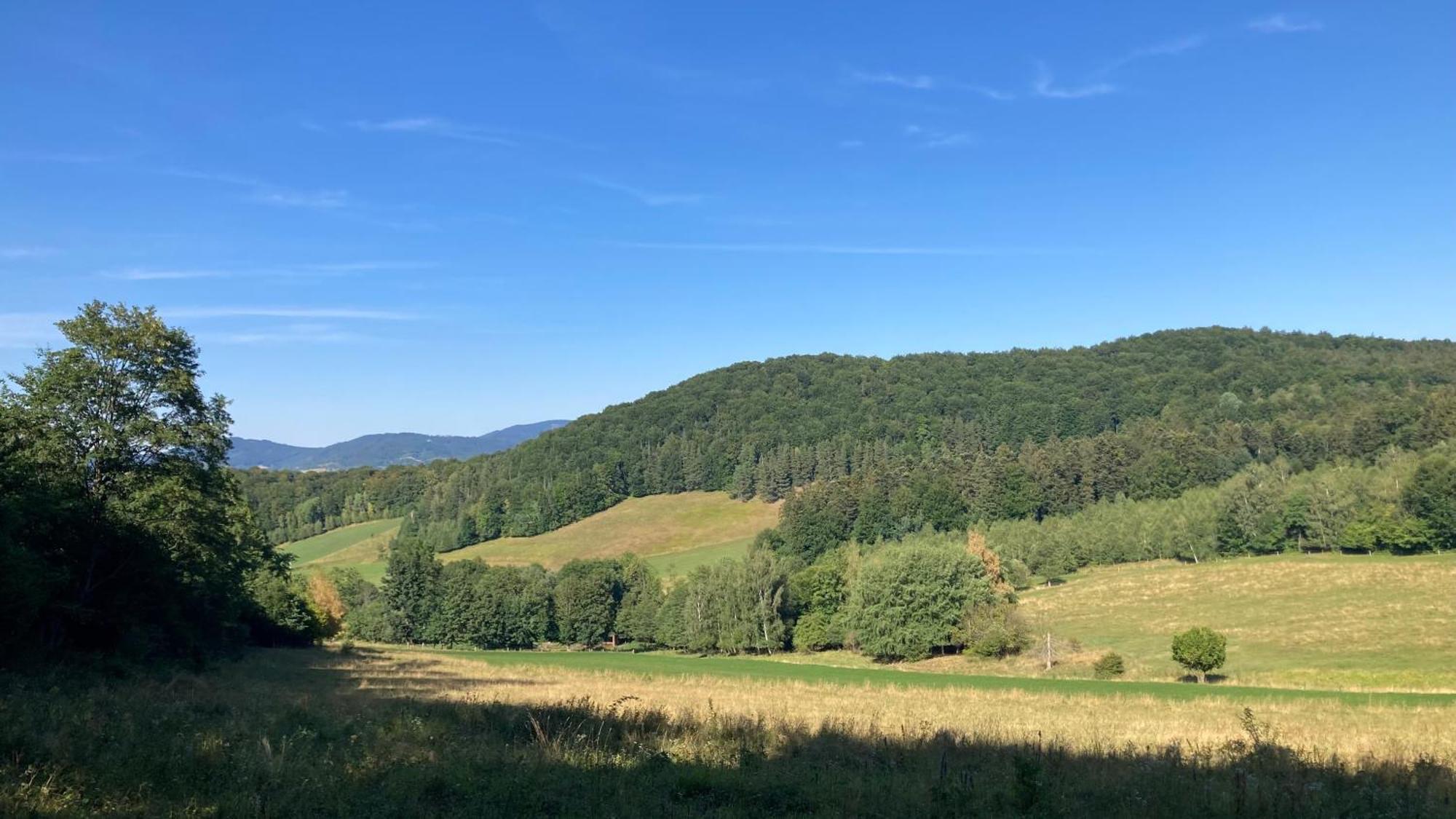 Na Piotrowickiej Przeleczy Villa Bystrzyca Klodzka Bagian luar foto