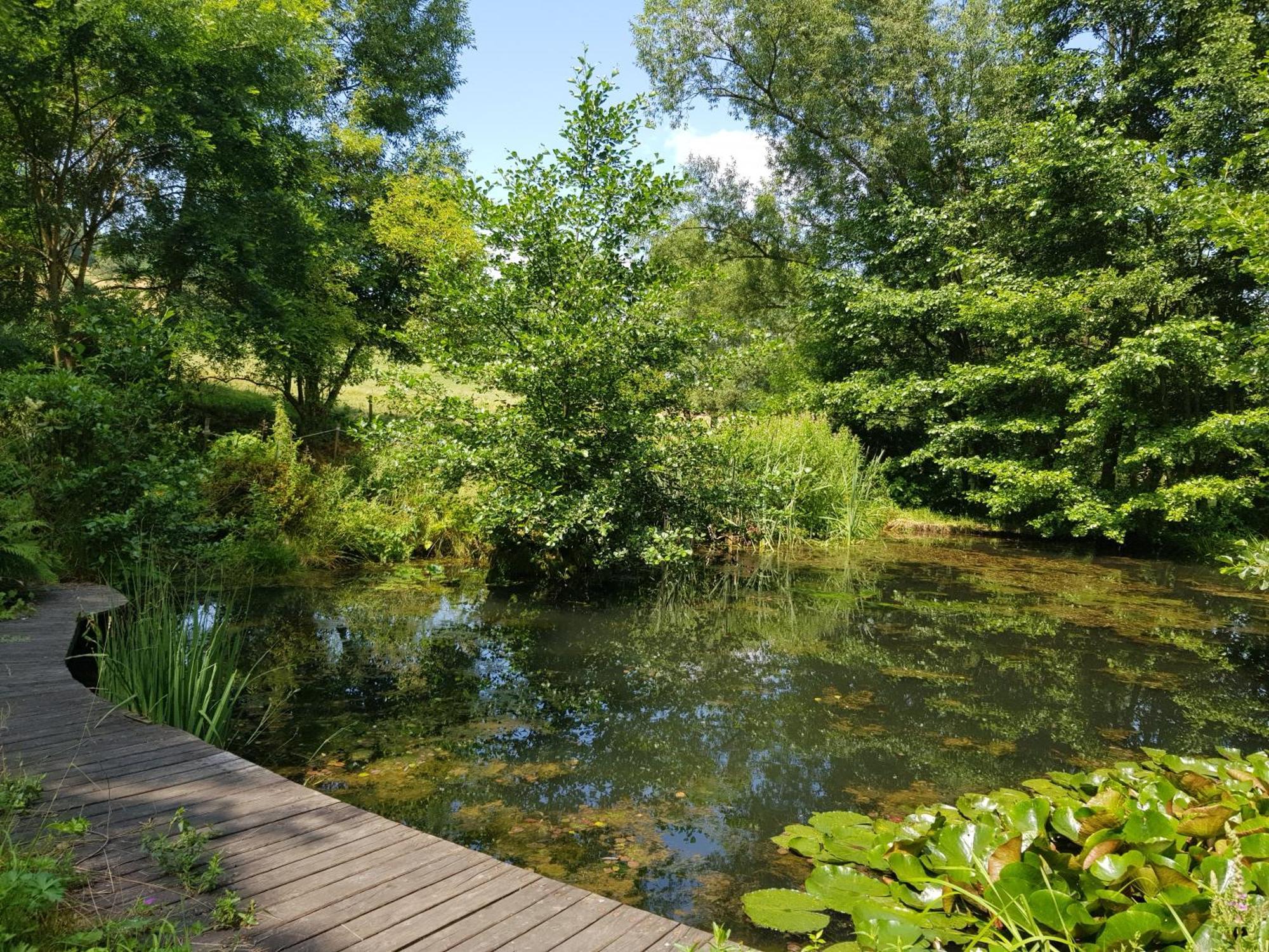 Na Piotrowickiej Przeleczy Villa Bystrzyca Klodzka Bagian luar foto