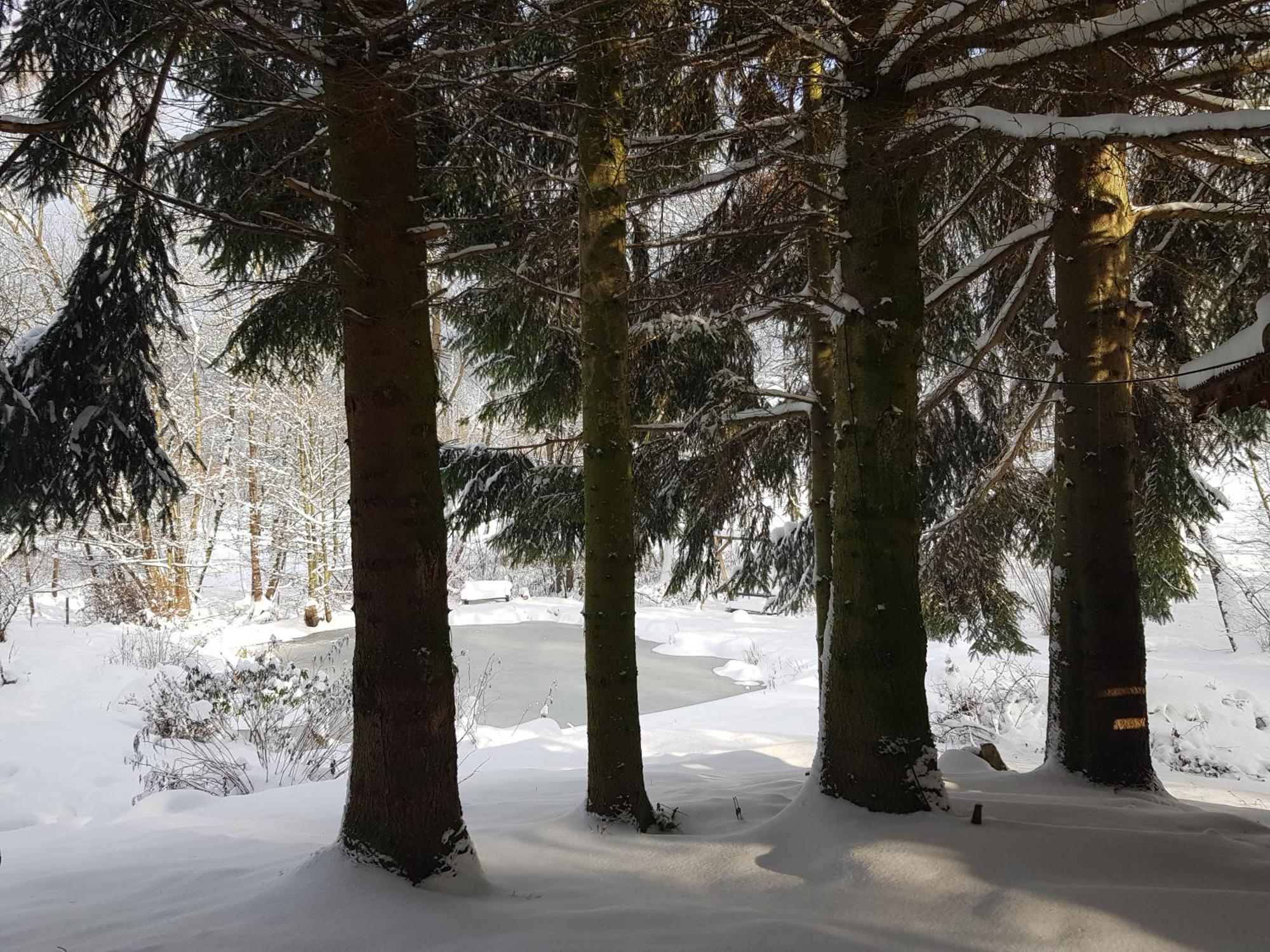 Na Piotrowickiej Przeleczy Villa Bystrzyca Klodzka Bagian luar foto